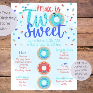 blue two sweet milestone poster, blue donut 2nd birthday party, editable donut milestone poster
