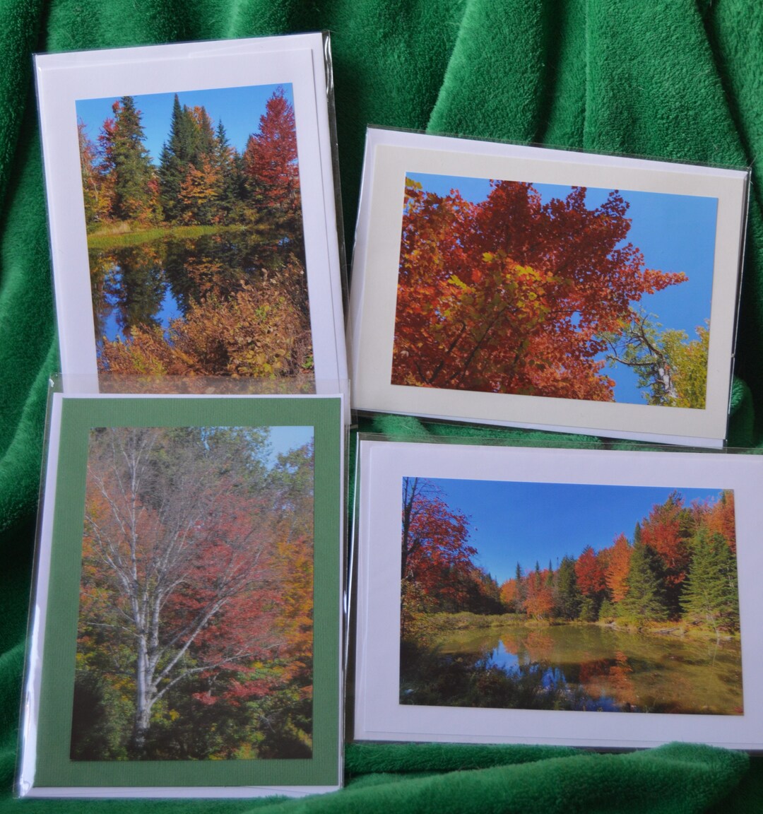Blank Photo Cards Etsy Blank photo cards etsy