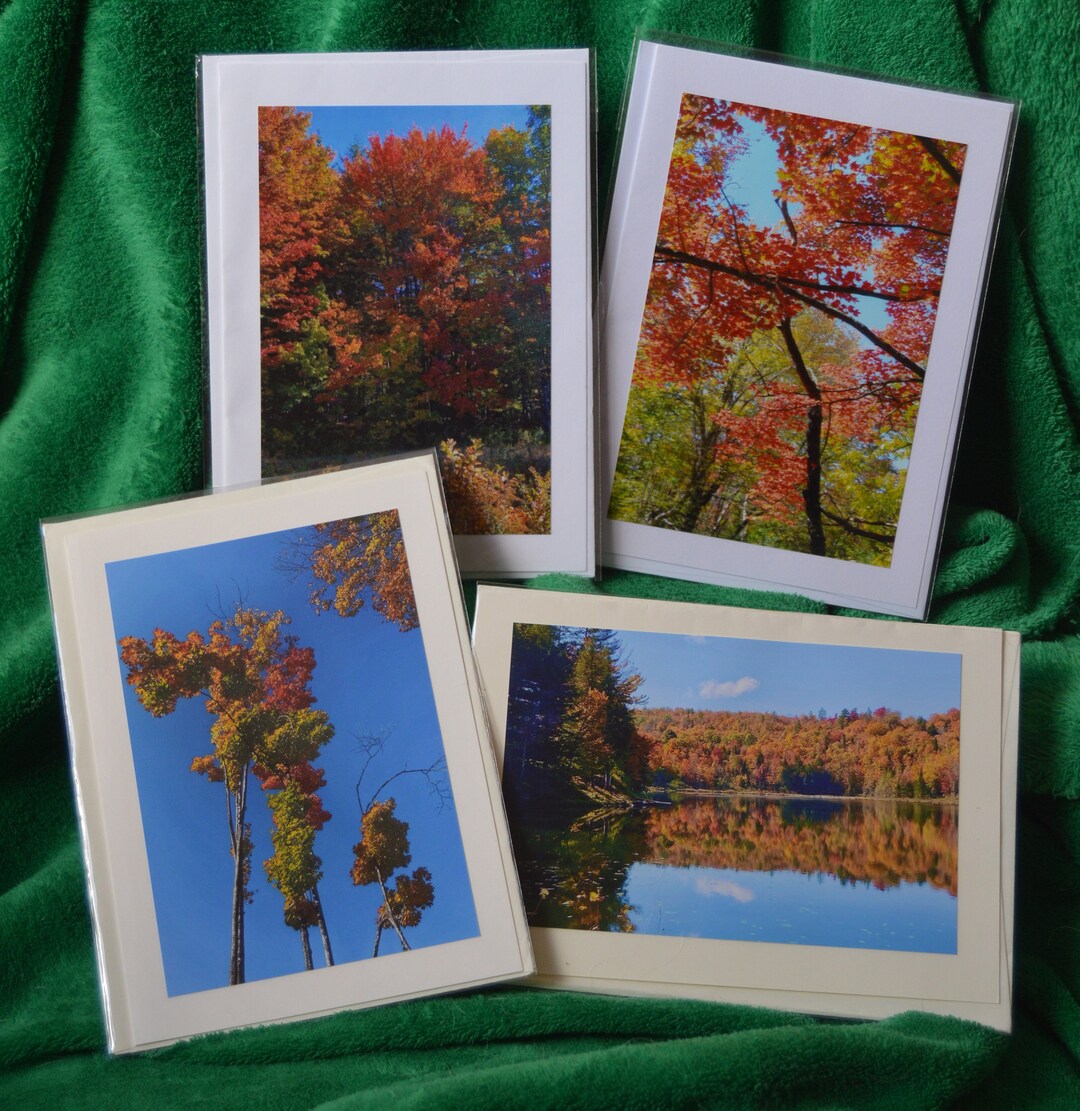 Blank Photo Cards Etsy Blank photo cards etsy