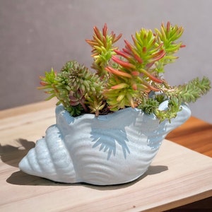 Seashell Planter Concrete Seashell Succulent Pot Cute Conch Shell Flower Vase Seashell Cactus Cement Planter Cement Seashell Planter image 1