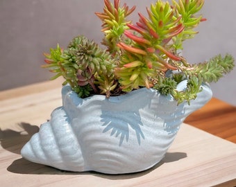 Seashell Planter | Concrete Seashell Succulent Pot | Cute Conch Shell Flower Vase| Seashell Cactus Cement Planter | Cement Seashell Planter