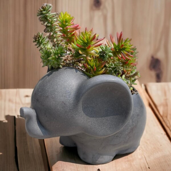 Elephant Planter | Concrete Elephant Succulent Pot | Cute Elephant Flower Vase| Dumbo Cactus Cement Planter | Lucky Elephant Planter pot