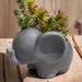 see more listings in the Concrete Pottery section