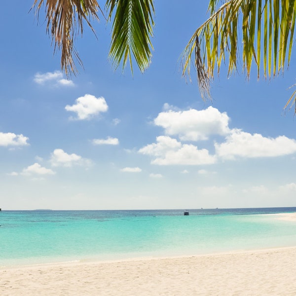 Beach Bundle, tropical aesthetics, beach backdrop, vacation vibes, tropical islands, blue ocean aesthetic, palm trees, Hawaii, Bali