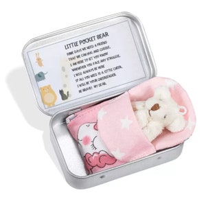 May include: A small white teddy bear with brown eyes is lying in a pink and white sleeping bag. The sleeping bag is in a silver tin with a message that reads "Little Pocket Bear. Some days we need a friend that we can hug and cuddle. I am here to let you know whenever you face any struggle, I will always be here. If all you need is a little cheer, I will be your cheerleader. Be brave! My dear."