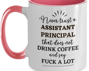 Assistant Principal Gift, Assistant Principal Mug, Funny Assistant Principal Coffee Mug, Fuck Mug, Gag Gifts for Assistant Principal