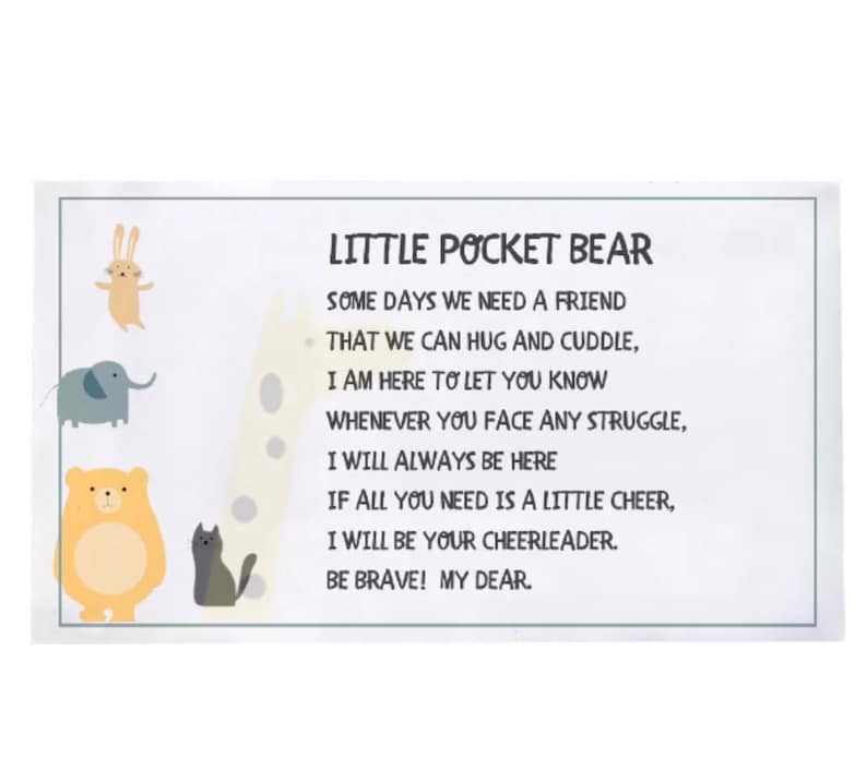 May include: A colourful illustration of a bear, rabbit, elephant and cat with a poem about friendship and encouragement. The poem reads: "Little Pocket Bear, Some days we need a friend that we can hug and cuddle, I am here to let you know whenever you face any struggle, I will always be here. If all you need is a little cheer, I will be your cheerleader. Be brave! My dear."