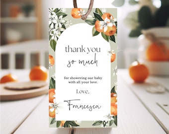 Editable Little Cutie Citrus Baby Shower Favor Tag, Orange Baby Shower Thank You Tag, Gender Neutral Orange Citrus Baby Shower Decor, LCC01
