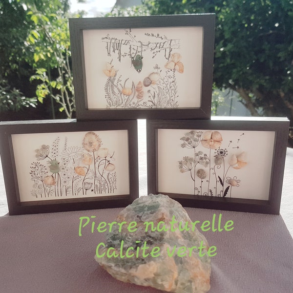 TABLEAU GALET / Art cadre coquillages/ oiseaux/ recyclage/ Déco maison/Calcite verte