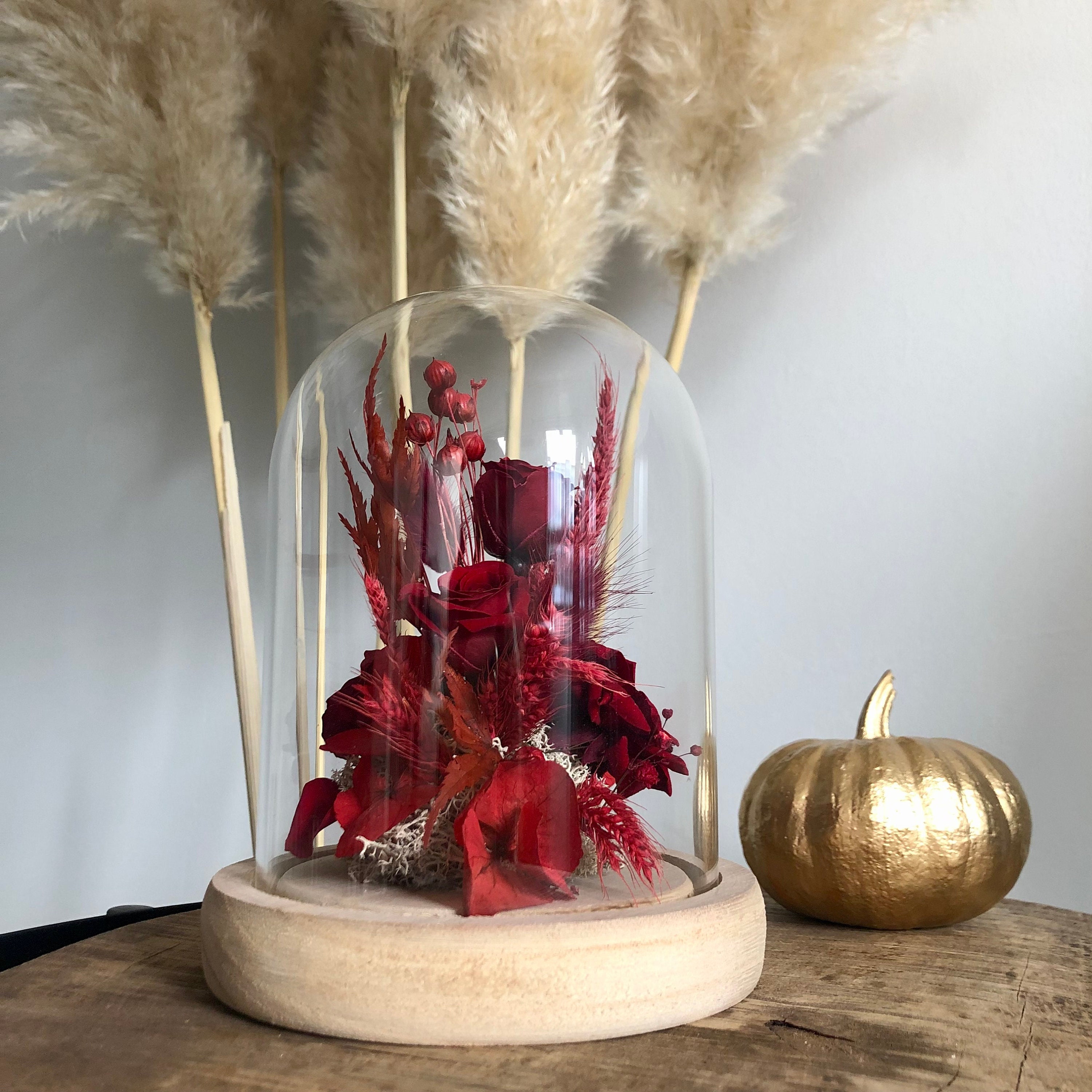 Passion Cloche de Fleurs Stabilisées - Rose Éternelle Décoration Éternelles