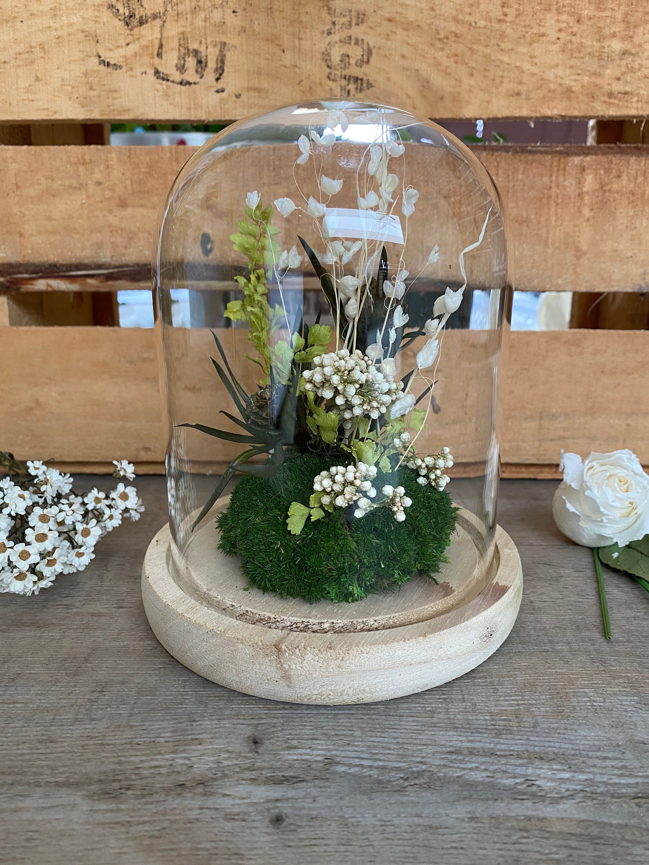 Prairie Cloche Végétale Stabilisée - Décoration Fleurs Éternelles