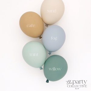 The Big One Birthday The Big One Surf Birthday Party Decoration Surf Balloon Garland Surf Balloon Arch Earth Tone Party Decoration Balloon