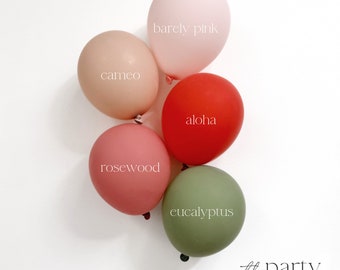 Berry First Birthday Balloon Arch Strawberry Balloon Garland Berry First Birthday Decoration Strawberry Party Decoration Berry Balloon Arch