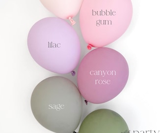 Wildflower Balloon Arch Kit Wildflower Balloons Wildflower Balloon Garland Dinosaur Birthday Girl Wildflower Party Decor Baby in Bloom Girl