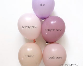 Macaroon Balloon Arch Pastel Balloon Garland Rainbow Purple Balloon Neutral Balloon Boho Balloon Princess Balloon Birthday Party Baby Shower