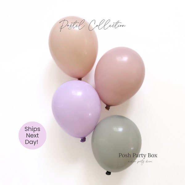 Pastel Balloon Arch Rainbow Balloon Garland Wildflower Birthday Party Two Sweet One Onderful Party Decor DIY Birthday Decor Boho Baby Shower