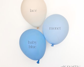 Blue and White Balloon Arch Kit Blue Balloon Garland DIY  Baby Shower Boy Blue Bridal Shower Baby On Board Last Toast on the Coast Ski Apres