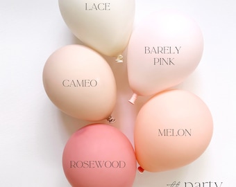 Blush Pink Balloon Garland Baby Pink Balloon Arch Neutral Balloon Baby Shower Boho Bridal Shower Pink Birthday Party Decor Pastel Soft Pink