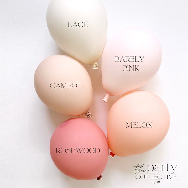 Blush Pink Balloon Garland Muted Pink Balloon Arch Neutral Balloon Baby Shower Boho Bridal Shower Pink Birthday Party Decor Pastel Soft Pink