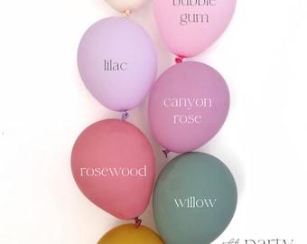 Colorful Balloon Arch Kit -Wildflower Balloon Garland Baby in Bloom Shower Wildflower Birthday Pastel Balloon Garland Birthday Balloons Girl