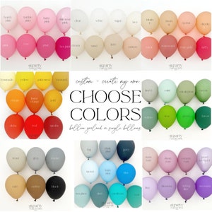 Custom Balloon Arch Custom Balloon Color Custom Balloon Garland Custom Single Balloon Custom Baby Shower Bridal Graduation School Colors