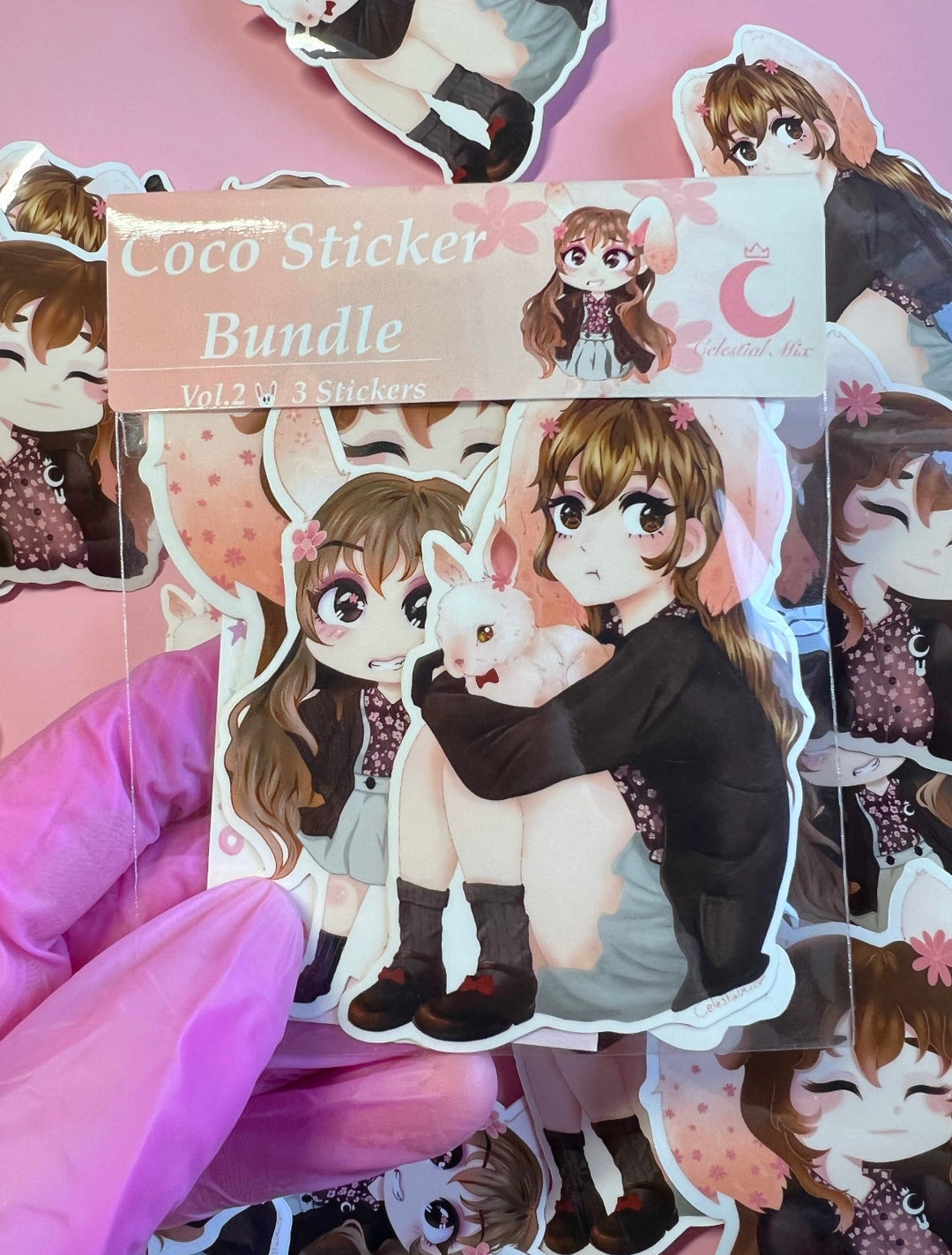 3 Pack Sticker Bundle Coco Bunny - Etsy