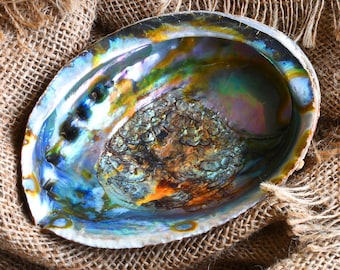 Abalone Shell Smudge Bowl, Smudging, Sage/Palo Santo Burning Ritual Bowl, Small/Medium, Natural & Ethical