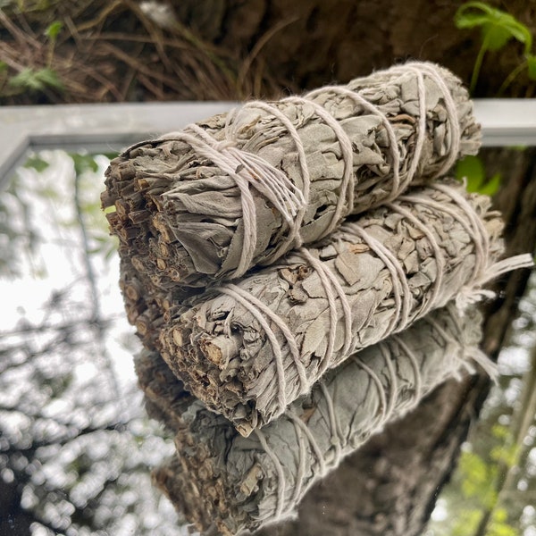 Organic White Sage Smudge Sticks 4", Organically Grown, Order 1~3 & Save, No Pesticides/Chemicals, Hand Harvested/Tied from California