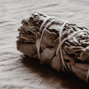 Organic White Sage Smudge Sticks 4&quot;, Organically Grown, No Pesticides/Chemicals, Hand Harvested/Tied from California