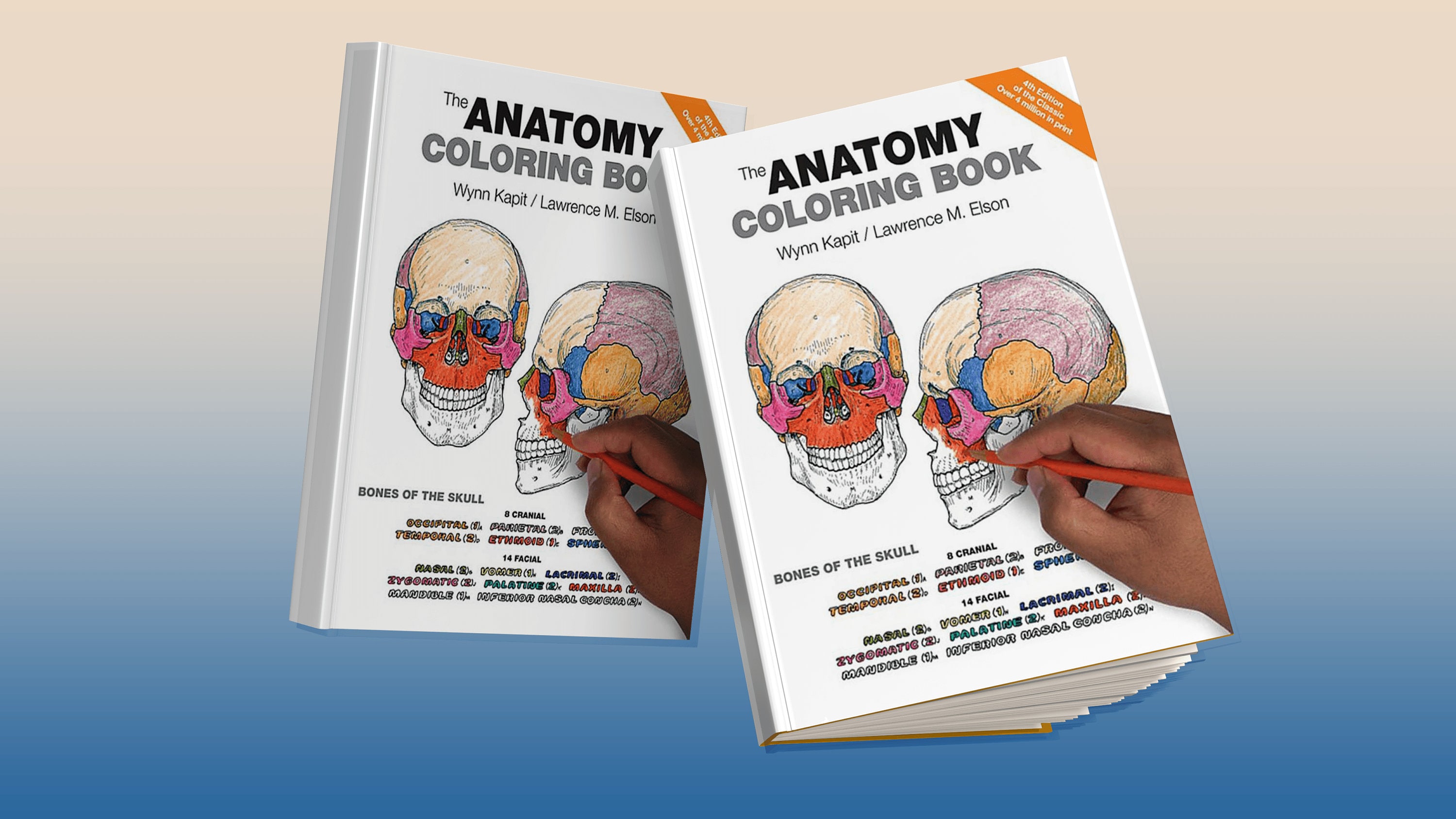 Human Body Coloring Book for Kids Ages 4-8: Human Anatomy Coloring Book,  Great Gift for Boys & Girls, Ages 4, 5, 6, 7, and 8 Years Old, Human Body  kids by Flashing Happy Coloring