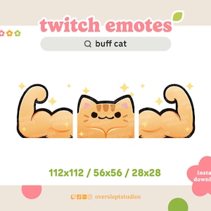 Buff Cat Emote Pack voor Twitch en Discord, Orange Cat Twitch Emotes, Strong Emote, Cat Emotes, Cat Twitch Emotes