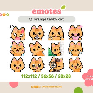 12 Orange Cat Emotes Pack for Twitch and Discord, Cat Twitch Emotes, Cat Emotes, Orange Cat Twitch Emotes, Premade Emotes