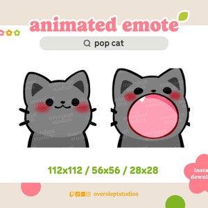 ANIMATED Gray Pop Cat Emote for Twitch and Discord, Pop Cat Emote, Cat Meme Emote, Animated Twitch Emote, Gray Cat Twitch Emotes