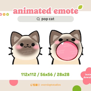 ANIMATED Siamese Pop Cat Emote for Twitch and Discord, Pop Cat Emote, Cat Meme Emote, Animated Twitch Emote, Siamese Cat Twitch Emotes