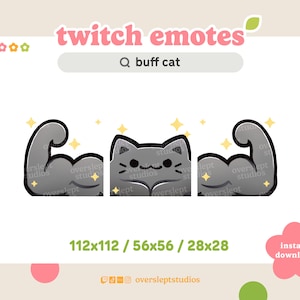 Może przedstawiać: Szary kreskowy kot z dużymi bicepsami, który pokazuje swoje mięśnie. Kot ma słodki wyraz twarzy i jest otoczony błyszczącymi gwiazdami. Tekst "buff cat" jest wyświetlany na pasku wyszukiwania nad kotem.