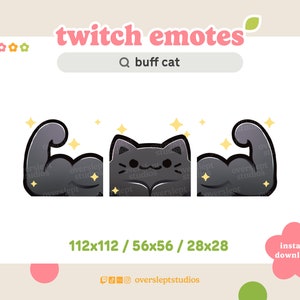 Buff Cat Emote Pack voor Twitch en Discord, Black Cat Twitch Emotes, Strong Emote, Cat Emotes, Cat Twitch Emotes