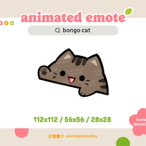 ANIMATED Brown Tabby Bongo Cat Emote for Twitch and Discord, Brown Cat Emotes, Animated Twitch Emotes, Cat Emotes, Cat Twitch Emotes