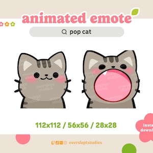 ANIMATED Gray Tabby Pop Cat Emote for Twitch and Discord, Pop Cat Emote, Cat Meme Emote, Animated Twitch Emote, Gray Cat Twitch Emotes