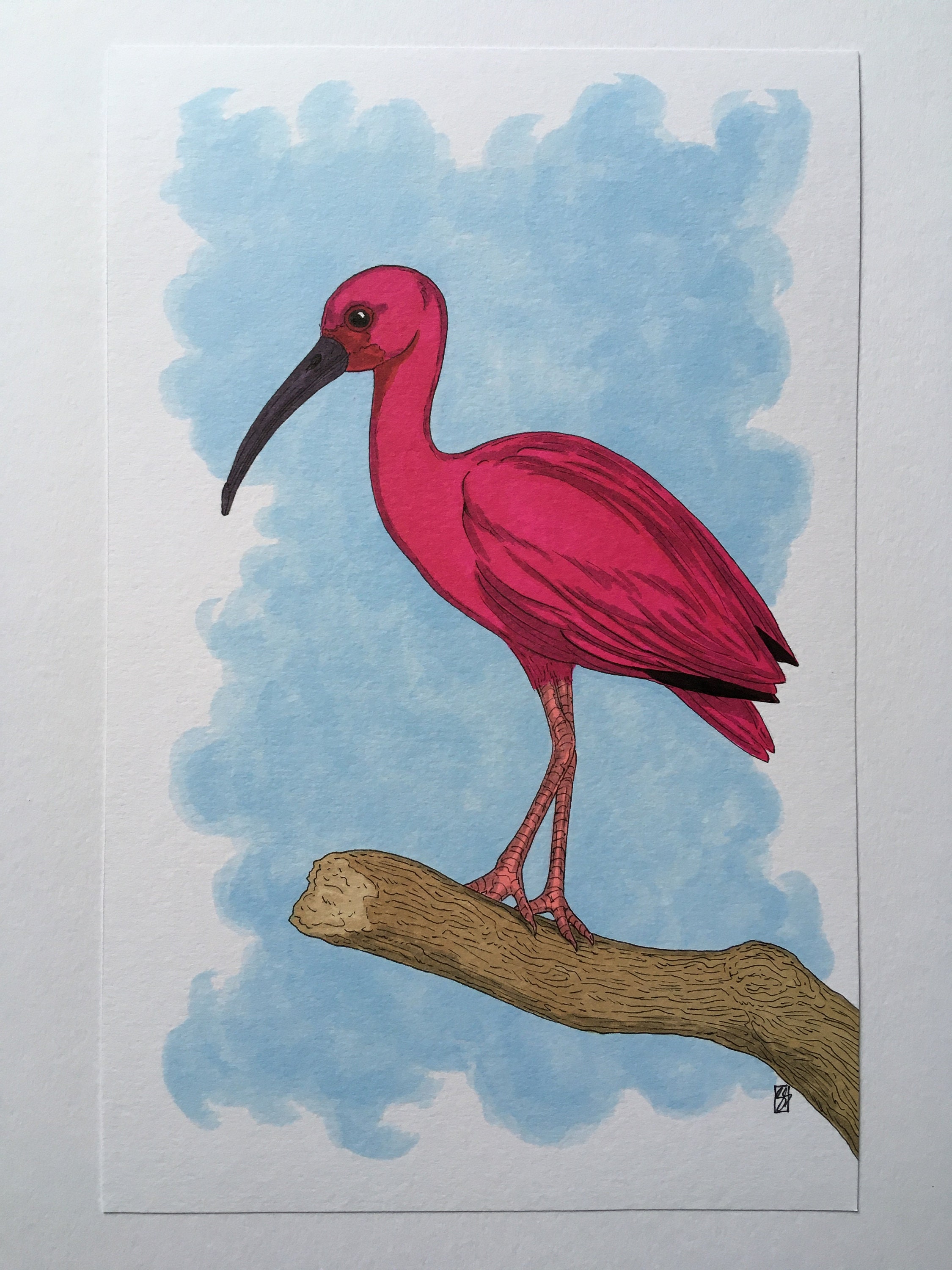 絵画 JIDORI Selfie Bird esquis JIDORI Selfie Bird esquis 絵画