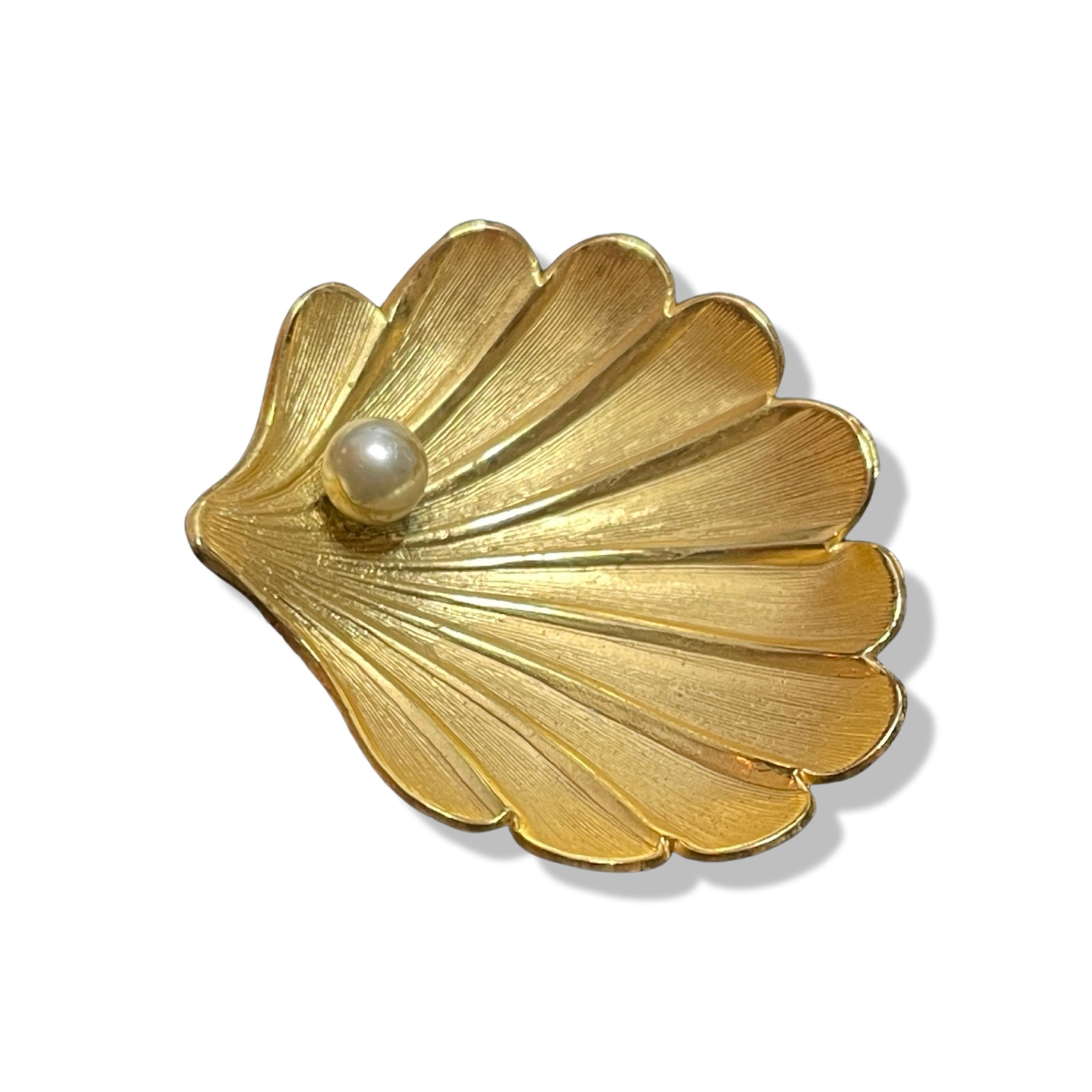 CERUTI Seashell Brooch/pin. Shell Pin Brooch Sea Shell Etsy