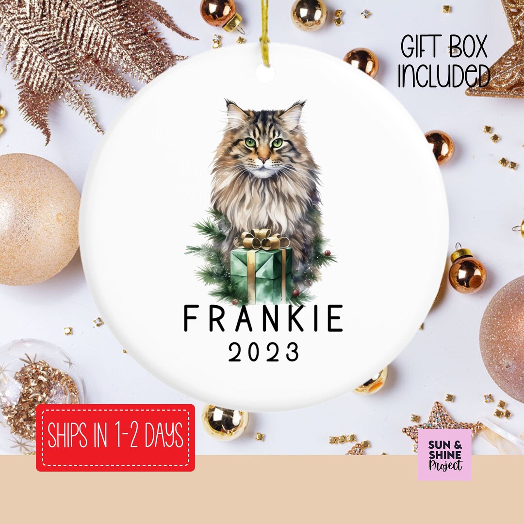 Maine Coon Cat Ornament, Custom Cat Ornament, Custom Name Ornament Cat