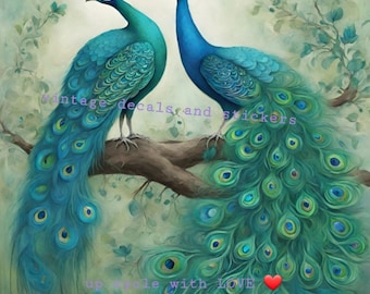 Furniture transfers rub on water slide sticker  5 peacock designs to choose from . blue turquoise.pink roses victorian shabby chic a7 to a3