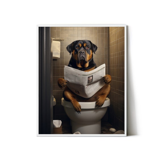 Rottweiler reading hotsell