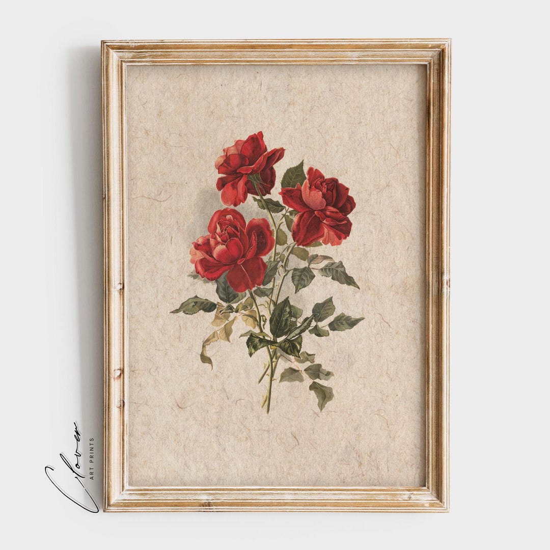 Red Roses Vintage Botanical Art Print | Minimalistic Floral Wall Decor ...