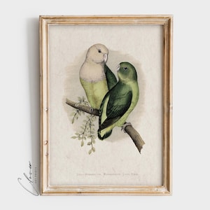 Love Birds Painting | Cute Nursery Wall Art Print for Instant Download | Animal Illustration Digital Printable | Kids Room Wall Decor