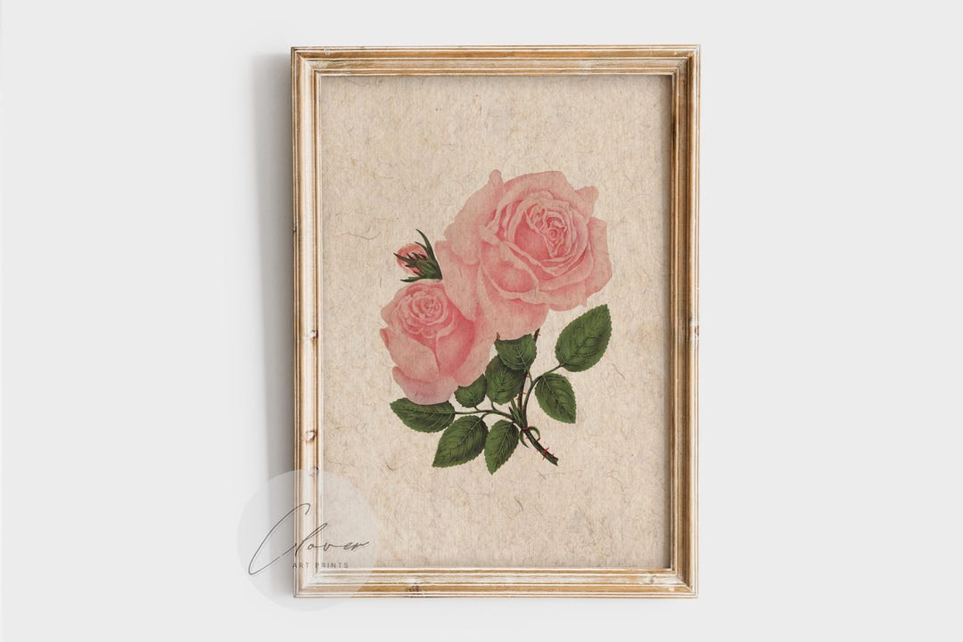 Soft Pink Rose Print | Vintage Botanical Art | Minimalist Floral Wall ...