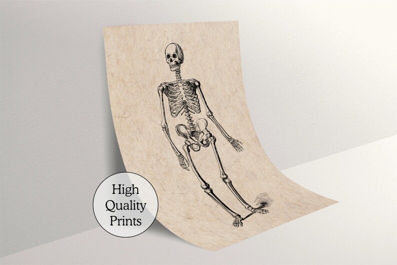 Vintage Skeleton Anatomy Art Print – Gothic Medical Illustration ...