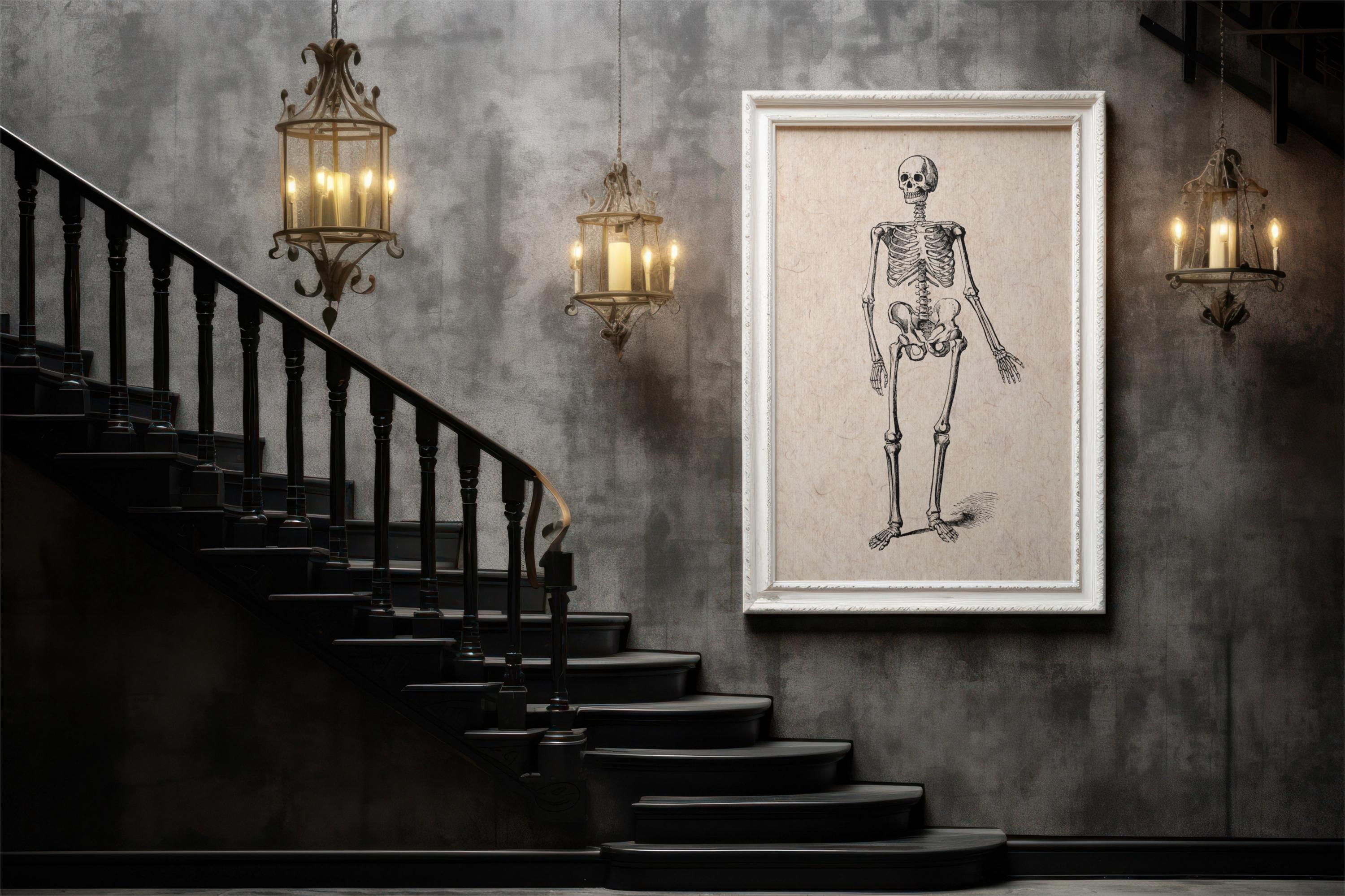 Vintage Skeleton Anatomy Art Print – Gothic Medical Illustration ...