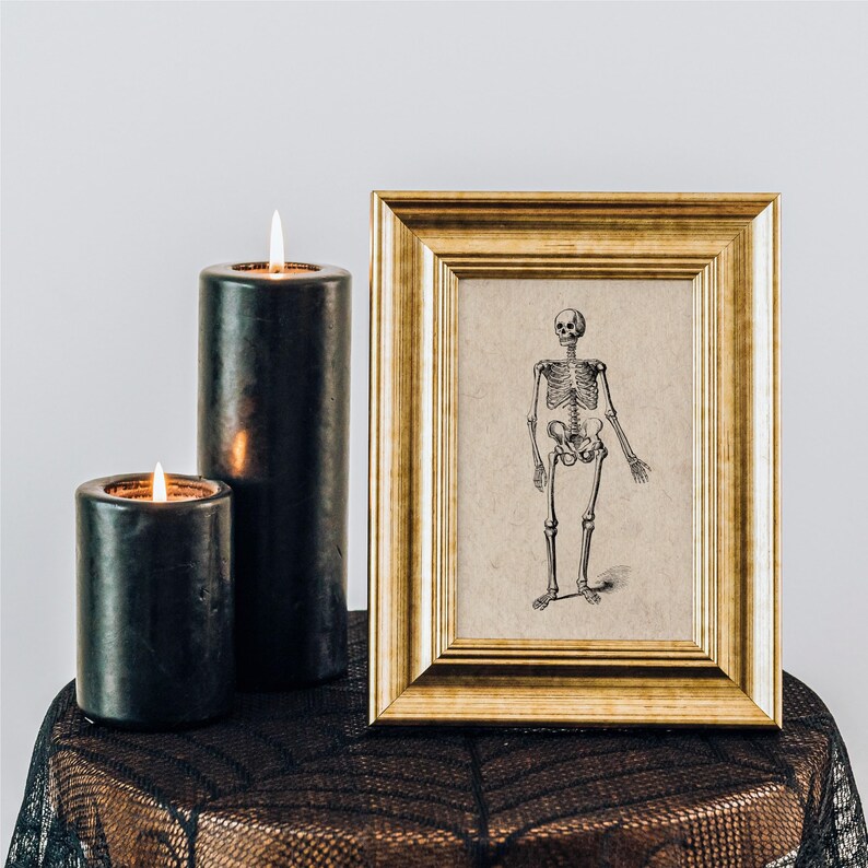 Vintage Skeleton Anatomy Art Print – Gothic Medical Illustration ...