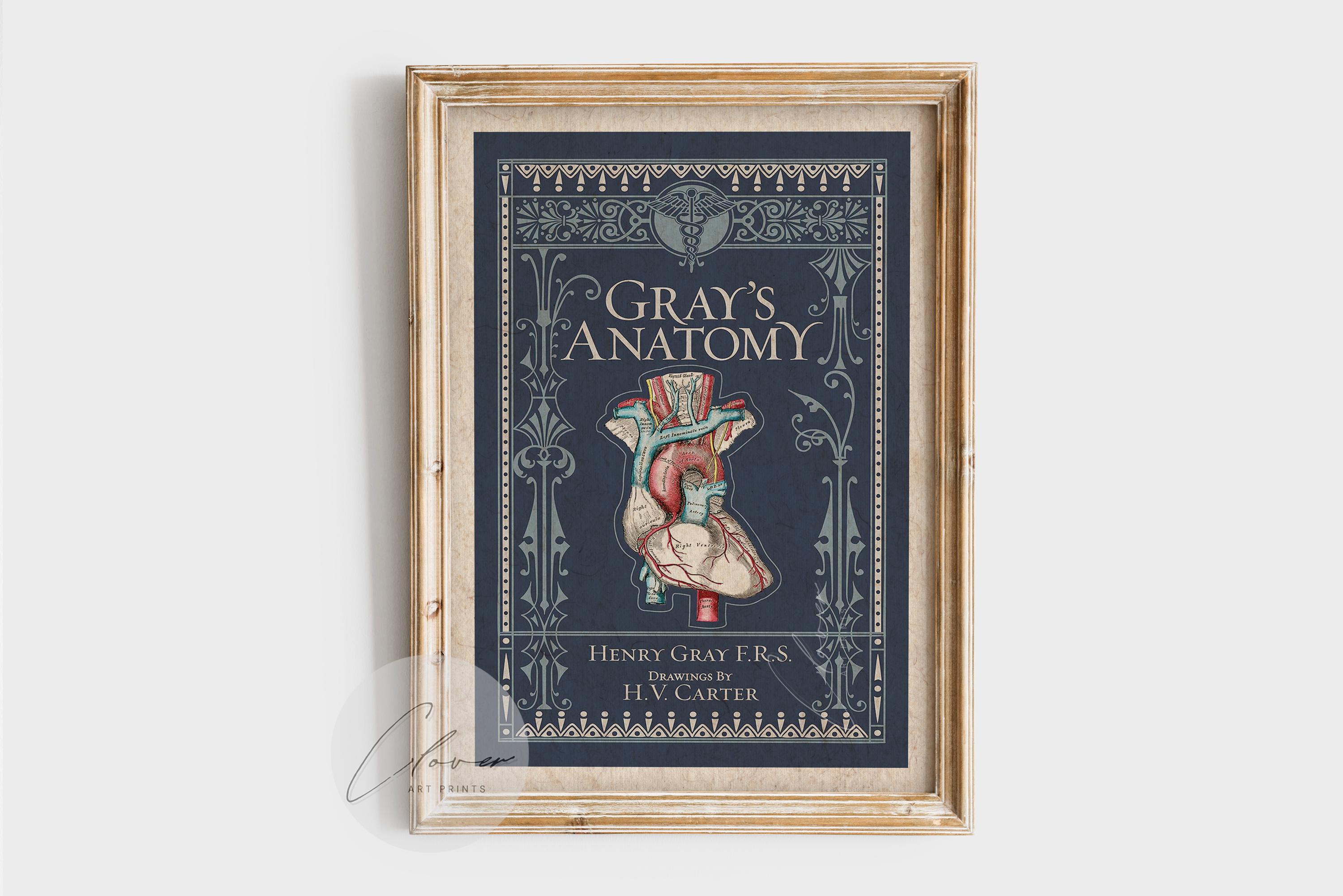 【新品未開封・コード未使用】Gray’s Anatomy42nd Edition Gray's Anatomy: The Anatomical Basis of Clinical Practice